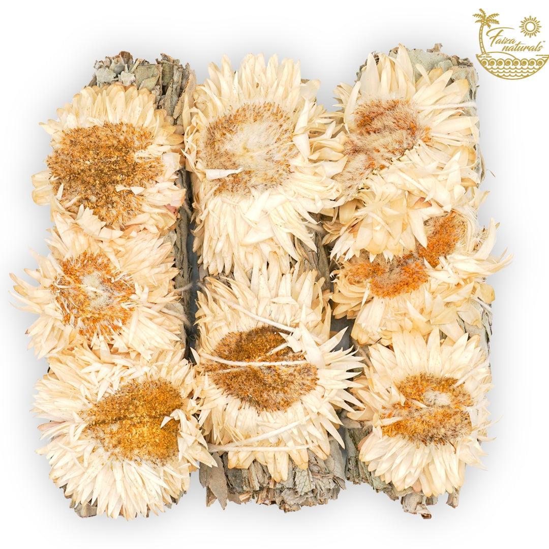 Sauge tournesol blanche