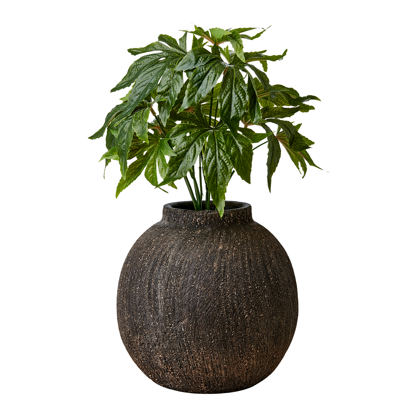 Vase en Terre cuite