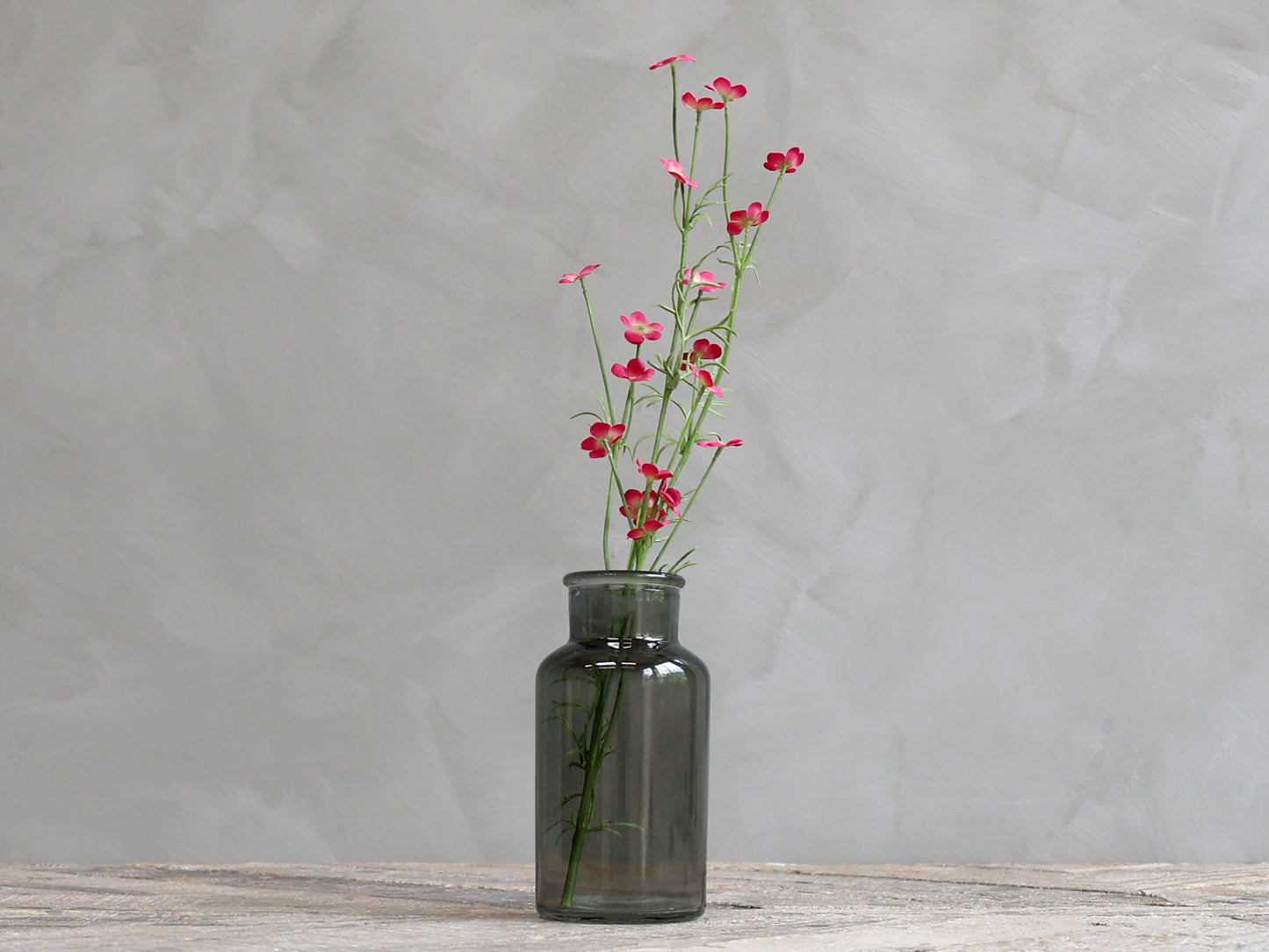 Fleur sauvage