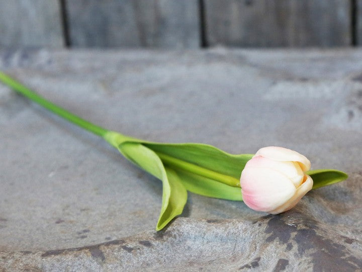 Fleur Tulipe H47 cm poudre