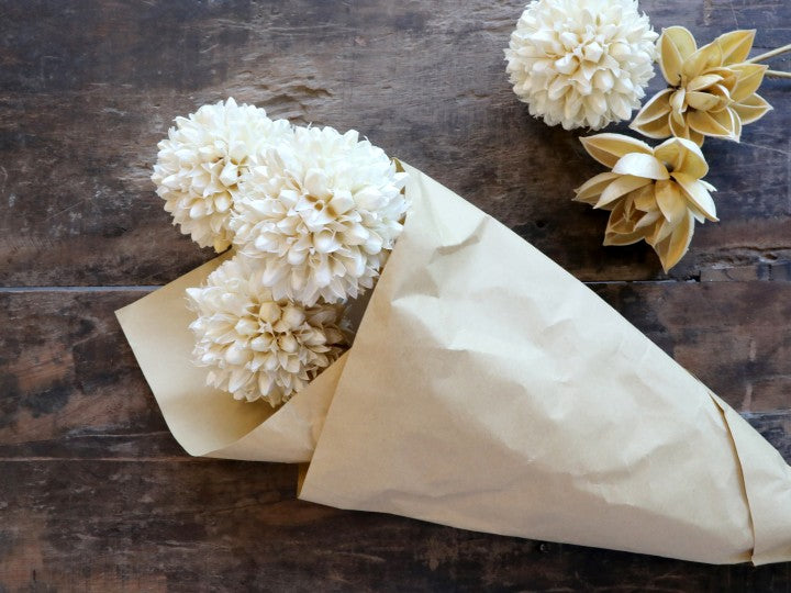 Fleurs Boule de neige séchées