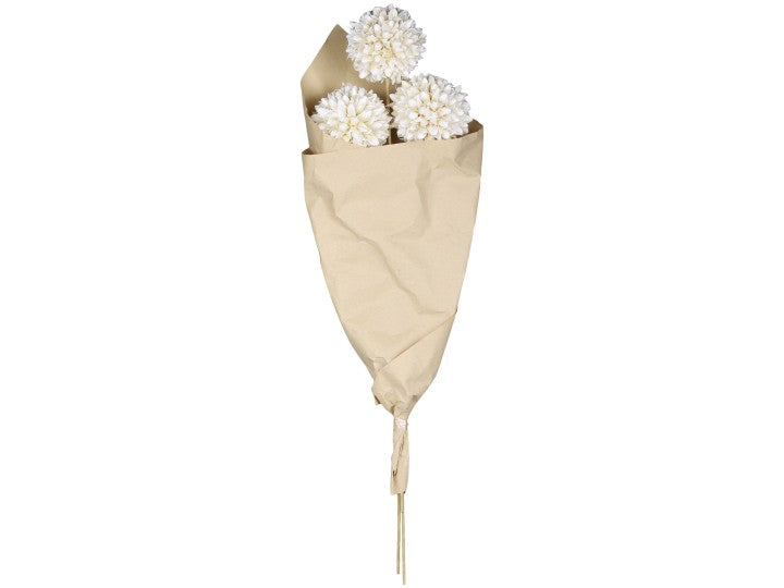 Fleurs Boule de neige séchées