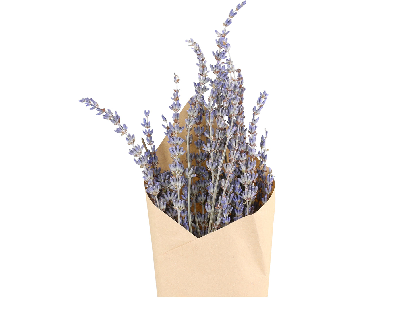 Bouquet de lavande séchée