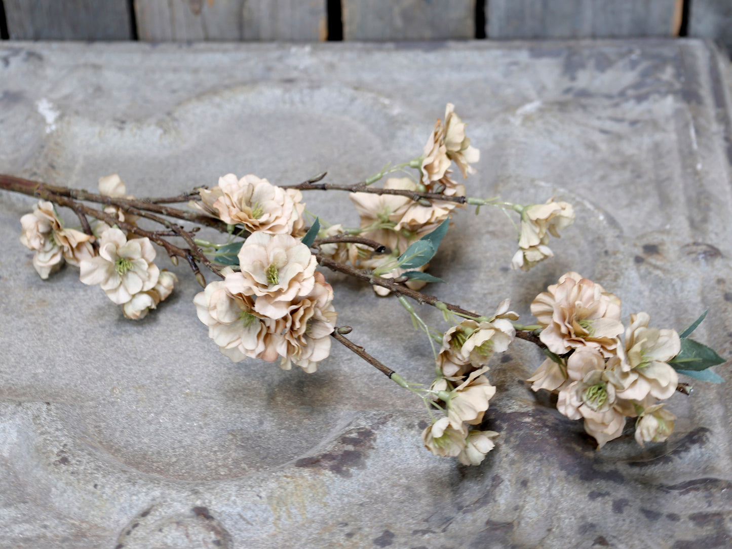 Branche de fleurs vieux rose