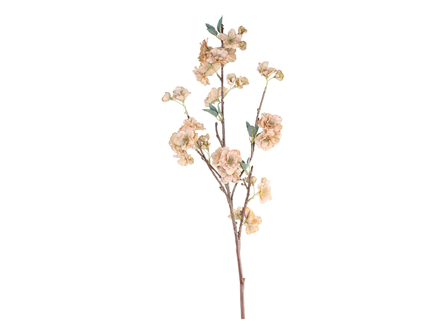 Branche de fleurs vieux rose