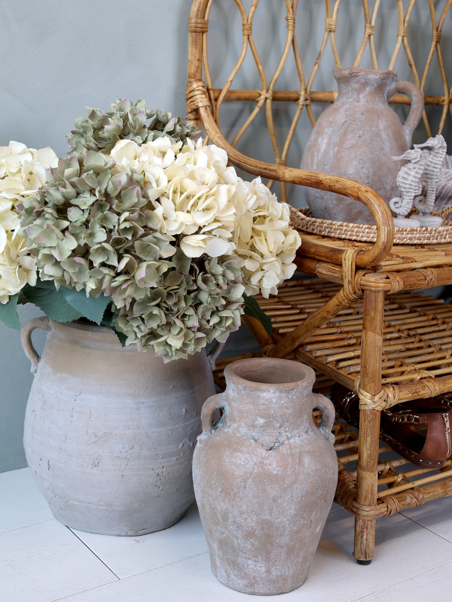 Fleur d'Hortensia avec feuilles
