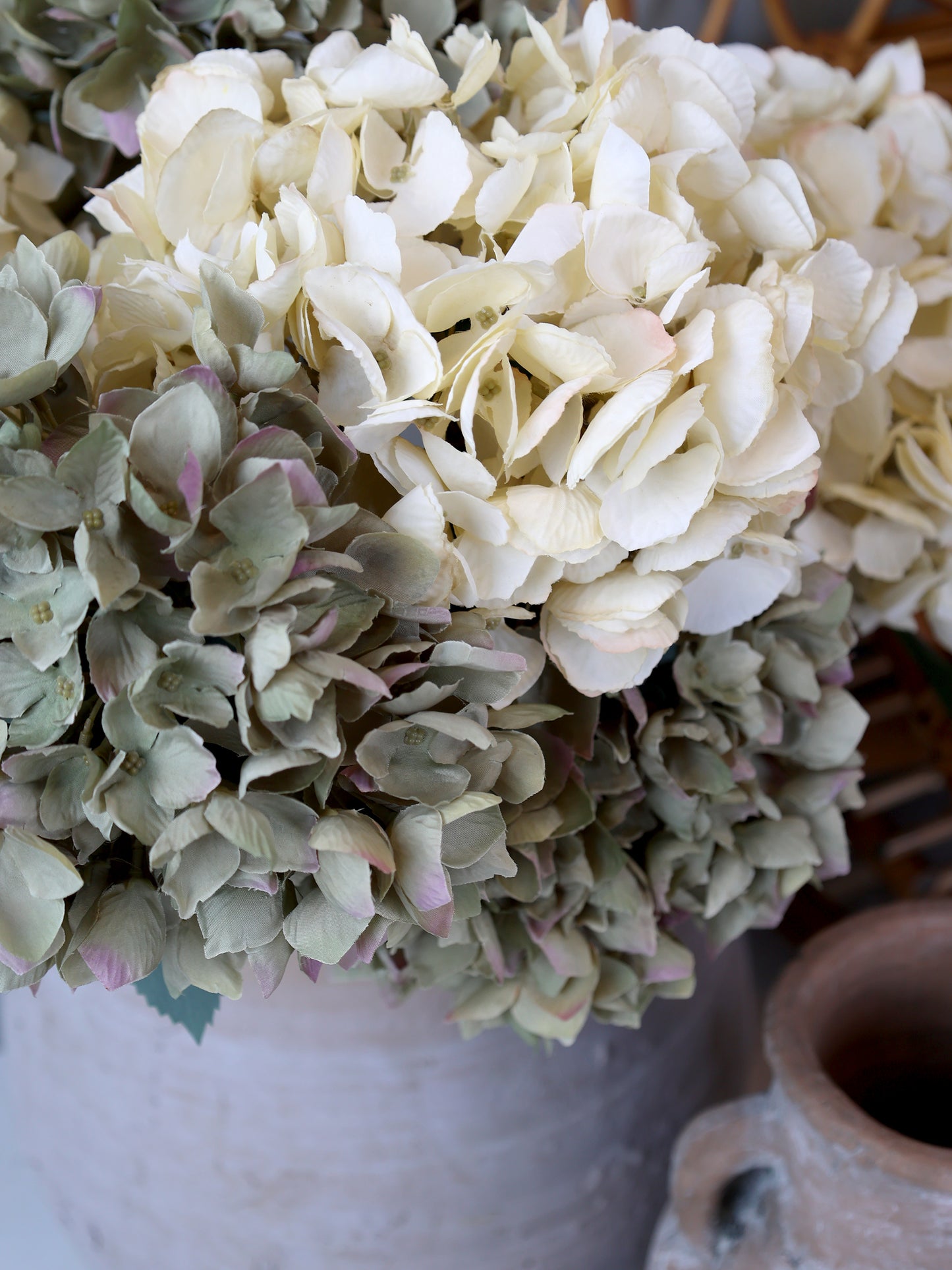 Fleur d'Hortensia avec feuilles