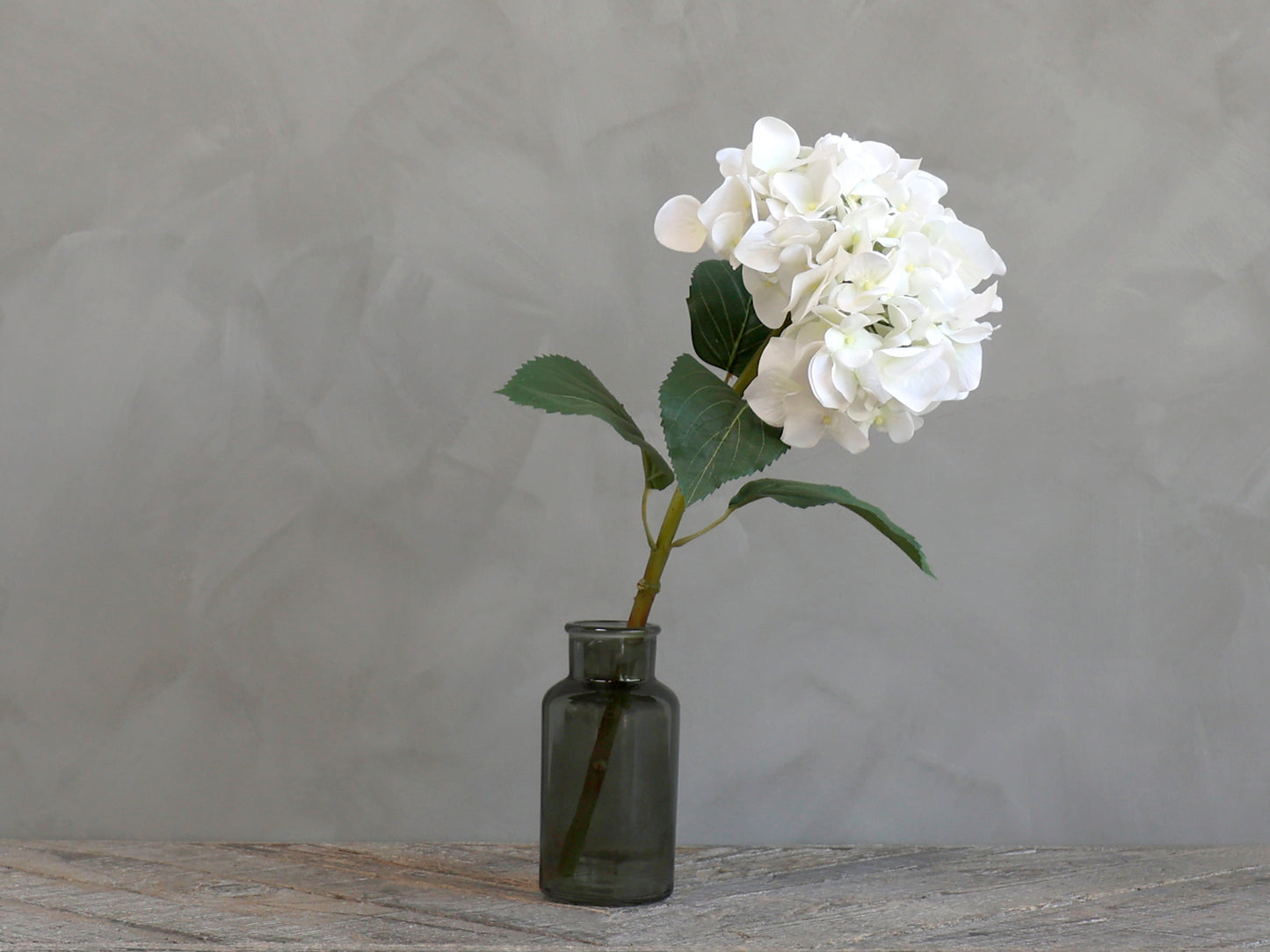 Grande Fleur d' Hortensia avec feuilles