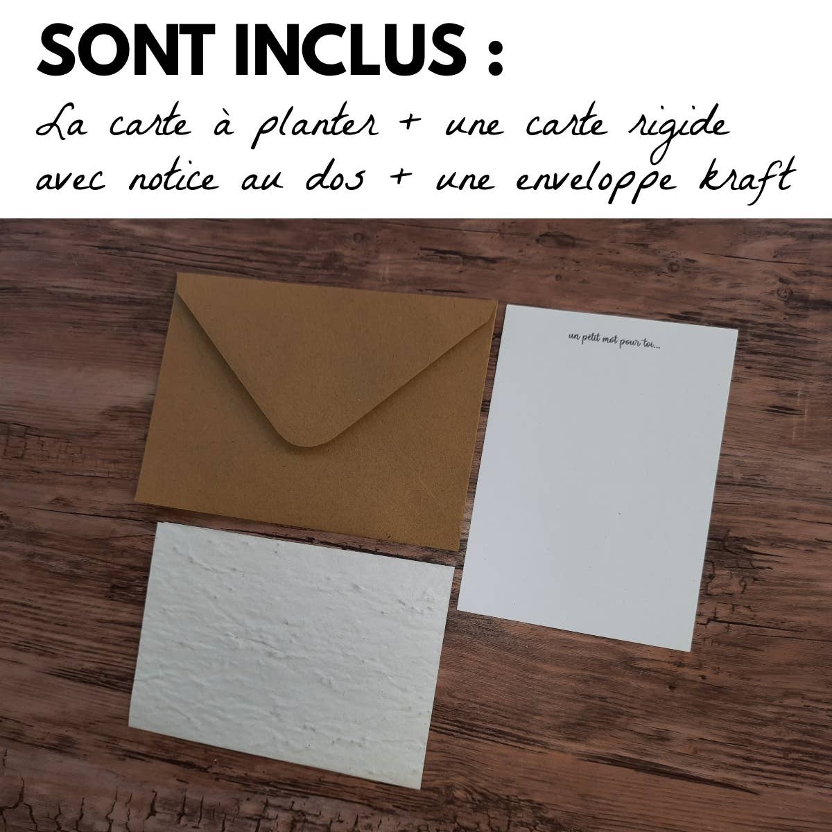 Carte à planter - Joyeuses fêtes