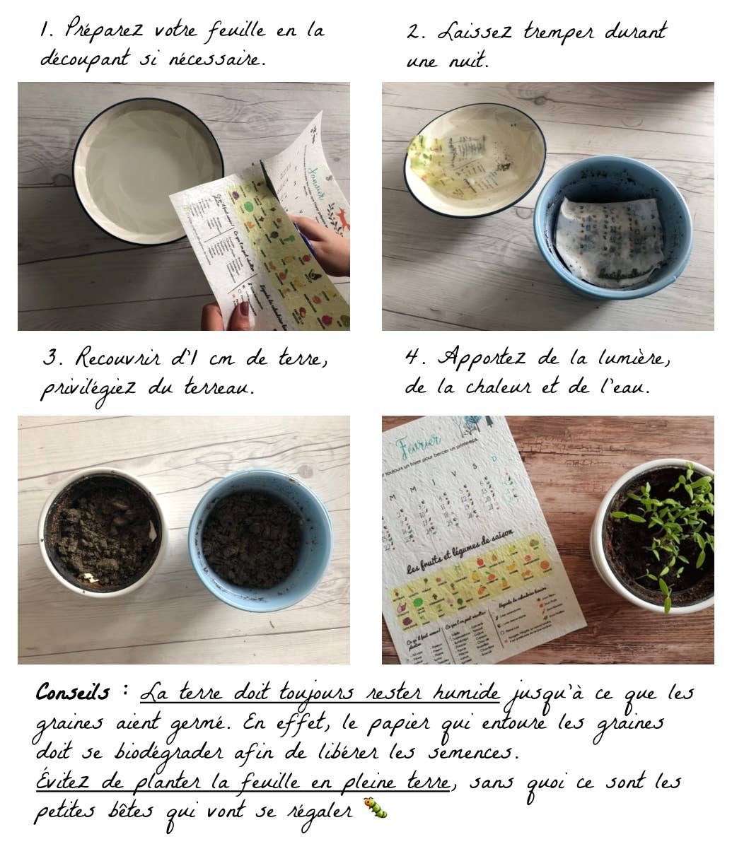 Carte à planter - Je te souhaite une nouvelle année
