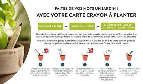 S05 — Cartes Crayon À Planter
Marguerites