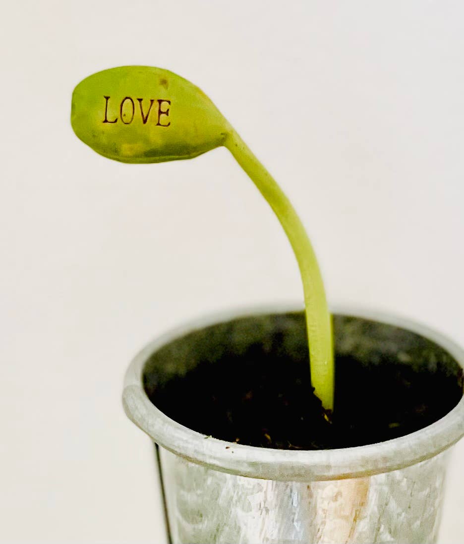 FG04- Carte et 2 graines gravées à planter