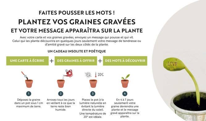 FG04- Carte et 2 graines gravées à planter