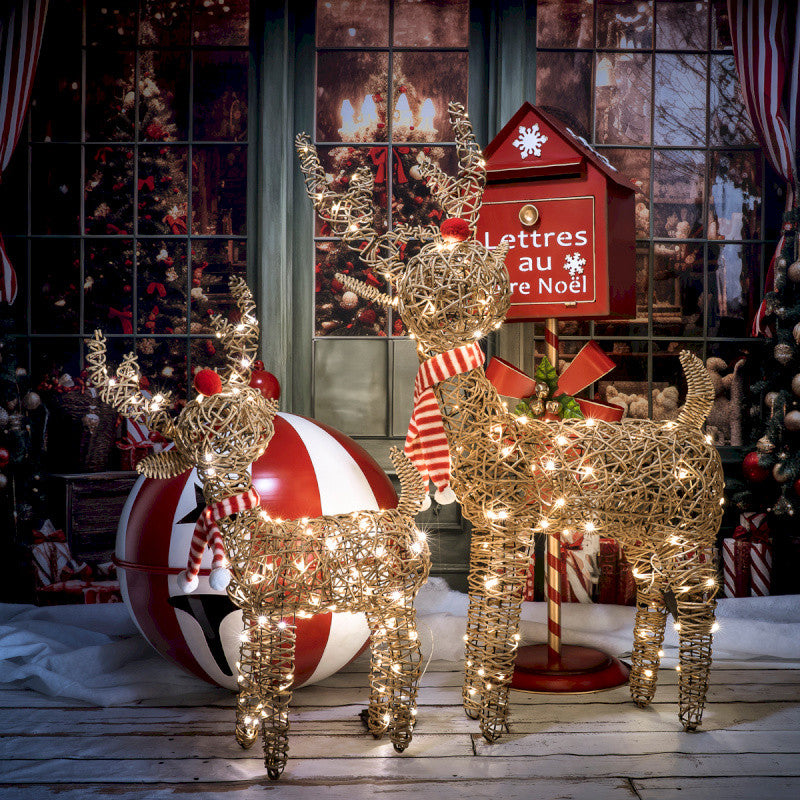 Reine lumineux Interieur / exterieur 53 cm