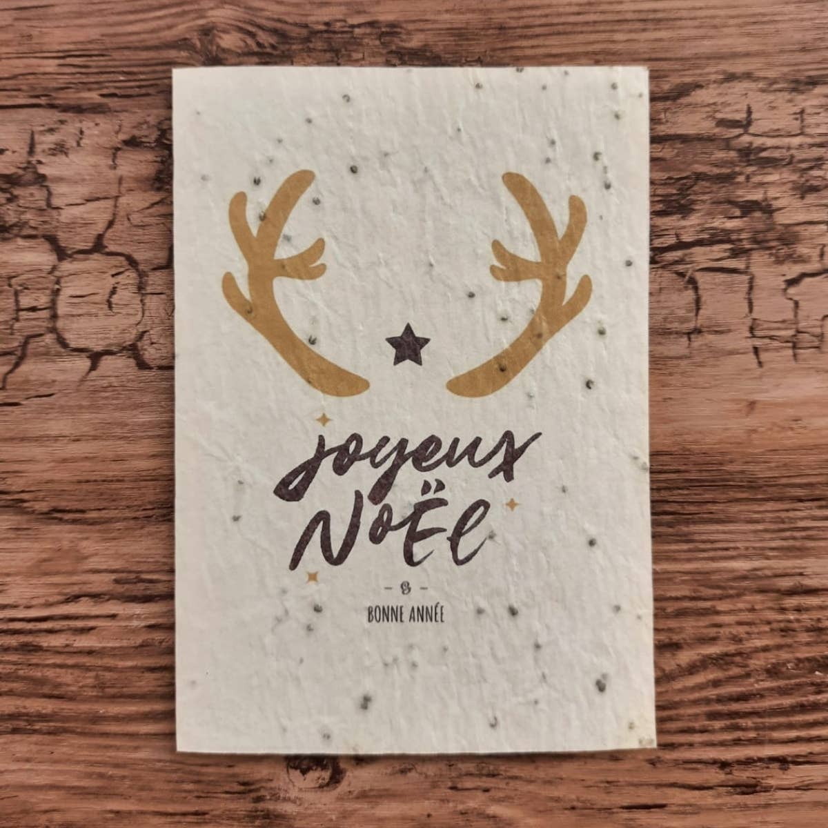 Carte à planter - Joyeux Noël et Bonne Année