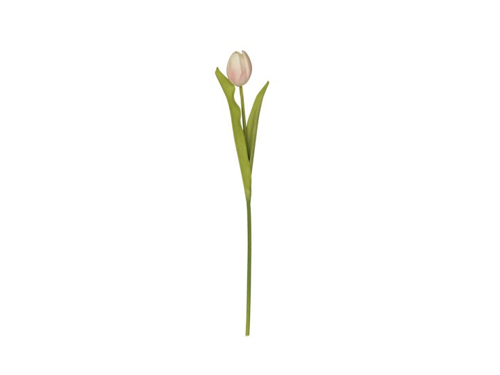 Fleur Tulipe H47 cm poudre