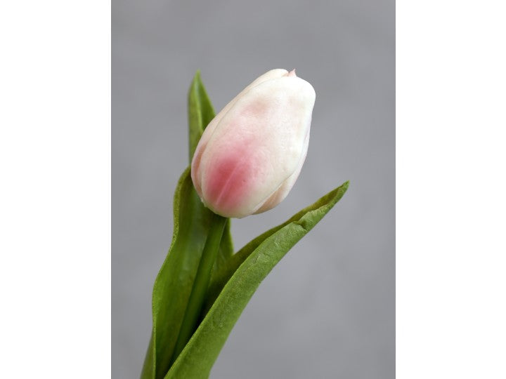 Fleur Tulipe H47 cm poudre
